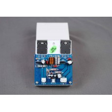 2TR MONO  BOARD 100W - ROBERT AUDIO