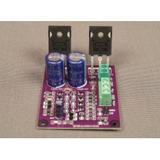 2 TR 100W MONO BOARD - BASSON