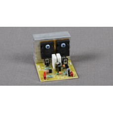 2 FET MONO BOARD - SAKTHI