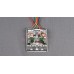 12V BT BOARD  JHANKAR - SALCON 